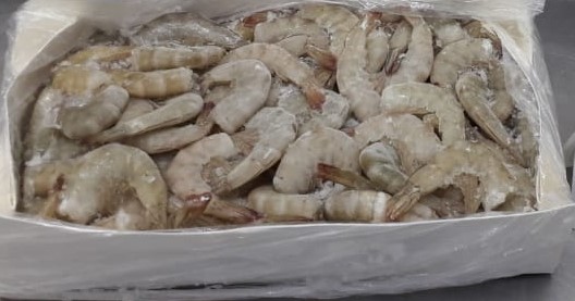 Vannamei Shrimp